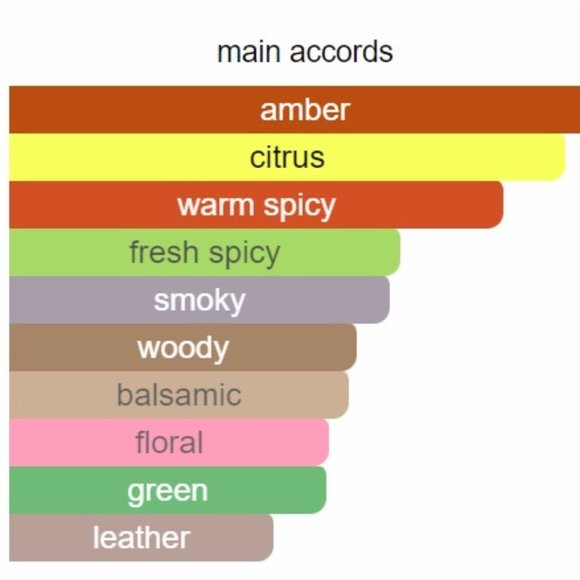 Issey Miyake - Intense Eau Du Toilette Woody Fragrance - Picture 4 of 5